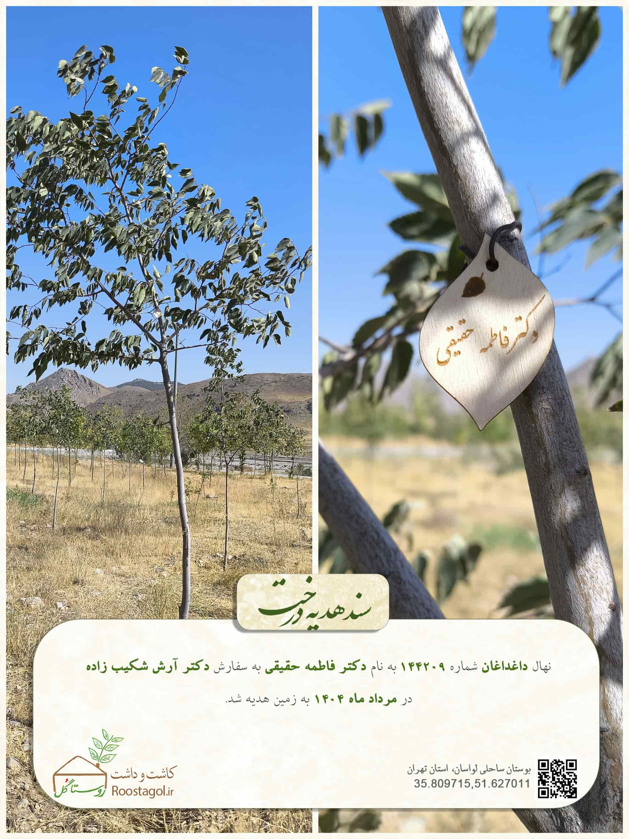 دکتر فاطمه حقیقی